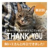 「新居浜市萩生で迷子になったネコちゃん。飼い主さんと再会できました！」