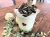 「期間限定で「ザクザク抹茶ミルク」を販売します！」