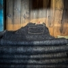 2023.3.31 fri  STYLE FACTORY SHOP OPEN