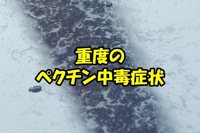 「重度のペクチン中毒症状の患者様(;^ω^)」