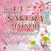 さくらまつり