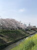 茂原住宅公園よろしくお願いします。「本日より新年度☆【ショッピングプラザアスモの隣りにある外房エリア唯一の総合住宅展示場】」