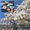 4月の御食事処神苑