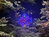 夜桜とドローン「松坂城跡桜ドローンショー」