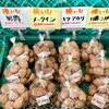 「本日4/1より『種芋』の販売を開始します！」