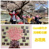 「元寺町の家　お花見」