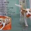 新メンバー紹介☆