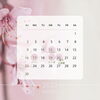  4月「⚫︎ 4月の予定⚫︎」