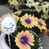 ご来店お待ちしております❣️「お花植えました(o^^o)❤️」