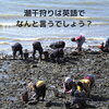 What is 潮干狩り?「Teacher'sコーナー144号 潮干狩りは英語でなんと言うでしょう？【千葉のならいごと　英会話スクール】」