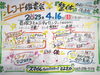「好評♪ レコード鑑賞会＋カイロプラクティック施術会♪【4/16㈰】」