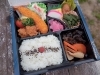 「魚野川桜づつみで、花見弁当！桜咲き始めました！」