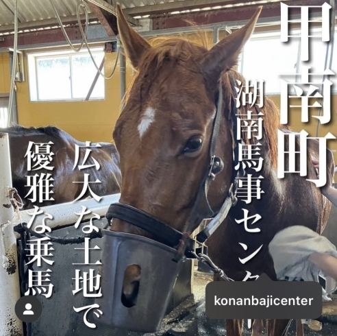 元　競走馬「甲賀市甲南町に乗馬体験施設！」