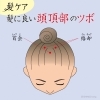 今すぐ試したいシリーズ～髪ケアにオススメの頭頂部のツボ～ | 誠心堂