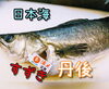 「おススメは「すずき」」