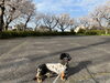 「暖かい季節になりました」