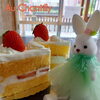 苺のショートケーキ☆「今しか食べられない❕苺のショートケーキ♡」