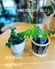 「1st ANNIVERSARY SALE」