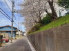 近隣小学校散策「4月の予定」