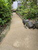 マサド舗装　施工後「庭の雑草対策。横浜市、磯子区、金沢区、植木、造園、庭のご相談は庭一」