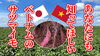 「【海外からのSOS！】サツマイモの栽培が国際問題に発展しました。　タネのハシモト」