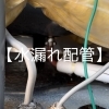 水漏れ配管「【新入社員業務日記】緊急連絡　水が止まらない 編」