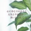 「出したら入ってくるよ〜」