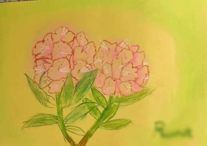 「[刈谷市絵画教室奈つりん「花をパステルで描こう！」]」