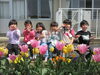 可愛いチューリップの前で♡「令和５年度北浦幼稚園がスタートしました♡」