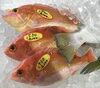 「魚魚市場鮮魚コーナーおすすめは「赤イサキ」です♪」