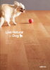 ①朝日ウッドテック:ライブナチュラルforDog「リフォーム青山でリフォーム。ペットと暮らす。【浦安・行徳の地域密着型リフォーム青山】」