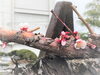 「小樽イオンハウスよりお知らせです。(2023-04-17)」