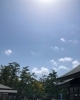 「あなたが愛情をかけてきたことは？」