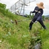 新居浜市で！【新居浜市　草刈り・芝刈り・防草処理サービス】 あなたの代わりに新居浜市地域密着にて 面倒な草刈りをから対応します！