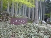 こけむしろ「[スタッフブログ更新」苔むしろに行ってきました」