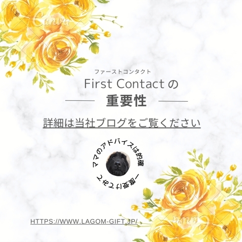 first contact「First　Contact　の重要性」