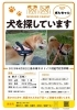 ぽんちゃん」という柴犬を探しています！ | まいぷれ三島編集部の