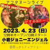 かすみ＆けーこ歌謡ショー「今度の日曜日は小岩へGo♪【柴又の歌姫　八ッ橋敬子】」