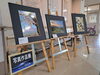 春を感じる作品が多く、雪解けが心待ちになりました「　✿　心ぽかぽか写真展　✿　春　✿　」