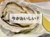 「大きな岩牡蠣★貝がとっても美味しい季節です！」
