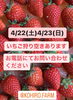 いちご「今シーズンのいちごも、もうすぐ食べ納めです。」