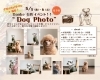 イベント開催のご案内✩.*˚「Danke ドッグフォトイベントのご案内！予約受付開始！」