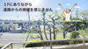 仲介手数料150万円が無料！八王子ひなた不動産「道路からの視線を感じない高低差が嬉しい✨リフォーム済み中古マンション1階✨子安町」