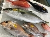 「魚魚市場鮮魚コーナーおすすめは「クロムツ」です♪」