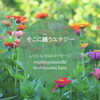 「＊　4/23-4/29 守護天使のメッセージ」