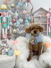 プッチくん「MerryXmas🎄」