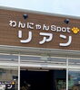 これからもよろしくお願いいたします！「4周年を迎えました(^▽^)」