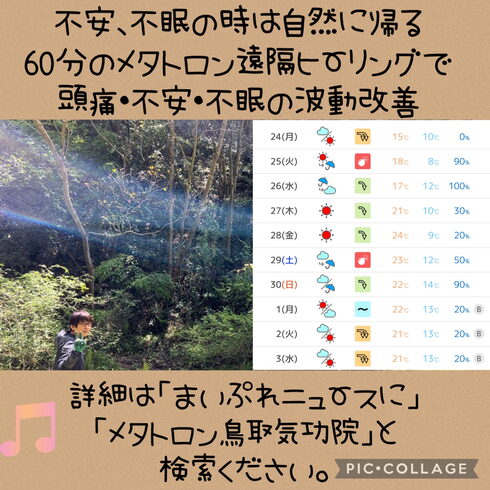 毎日が夢のよう不眠を解消すると頭痛もスッキリ「【不安、不眠の時は自然に帰る✨】60分のメタトロン遠隔ヒーリングで頭痛・不安・不眠の波動改善 メタトロン鳥取・米子・境港・松江 」