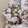 「お店の周辺も、桜や梅が満開になってきています✨」