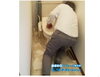 「トイレリフォームの時には床面の張替えも一緒にオススメ！【越前市 水まわりリフォーム専門店タナカ工業】」
